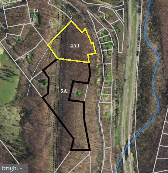 Lot 4A1 Larkin Ridge Road - Photo 1