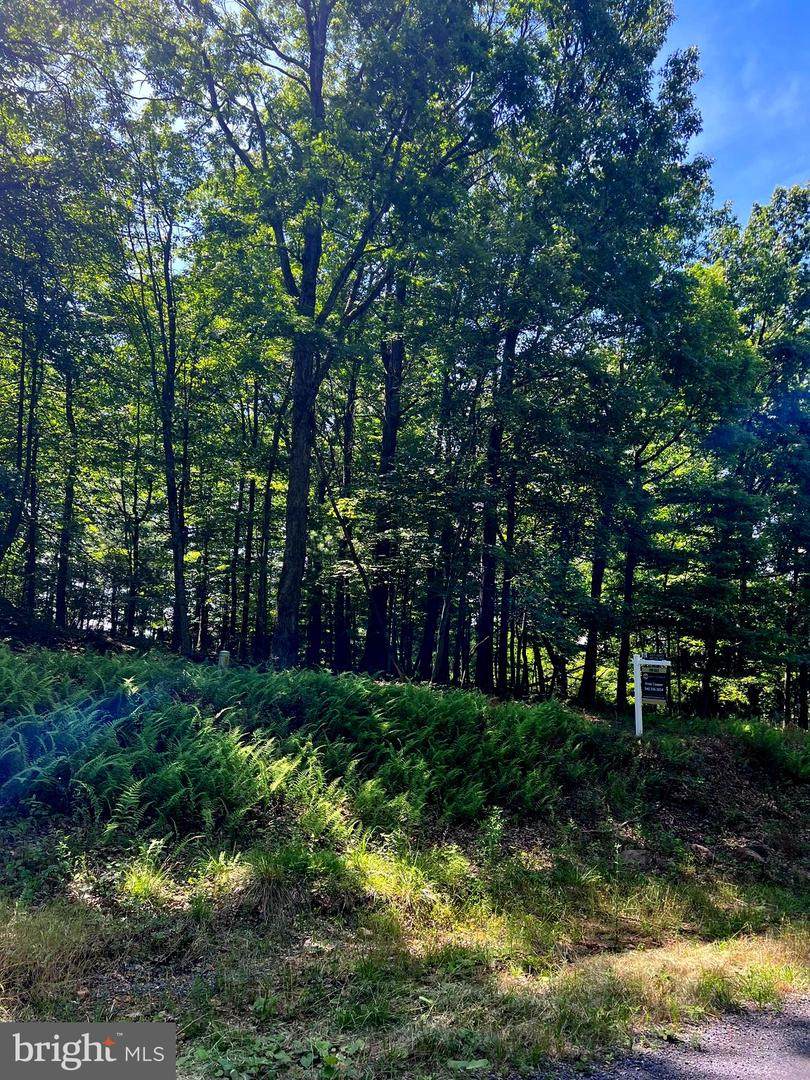 TBD Brill Rd - Photo 1