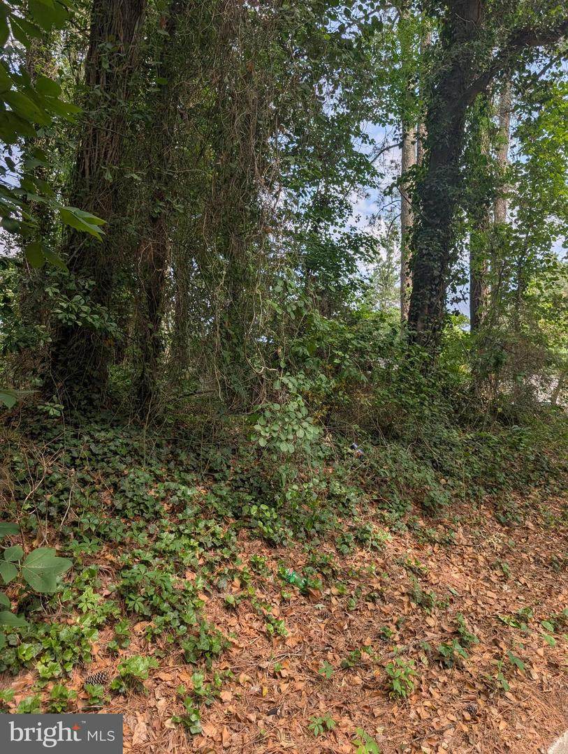 0 Schumaker Lane - Photo 1