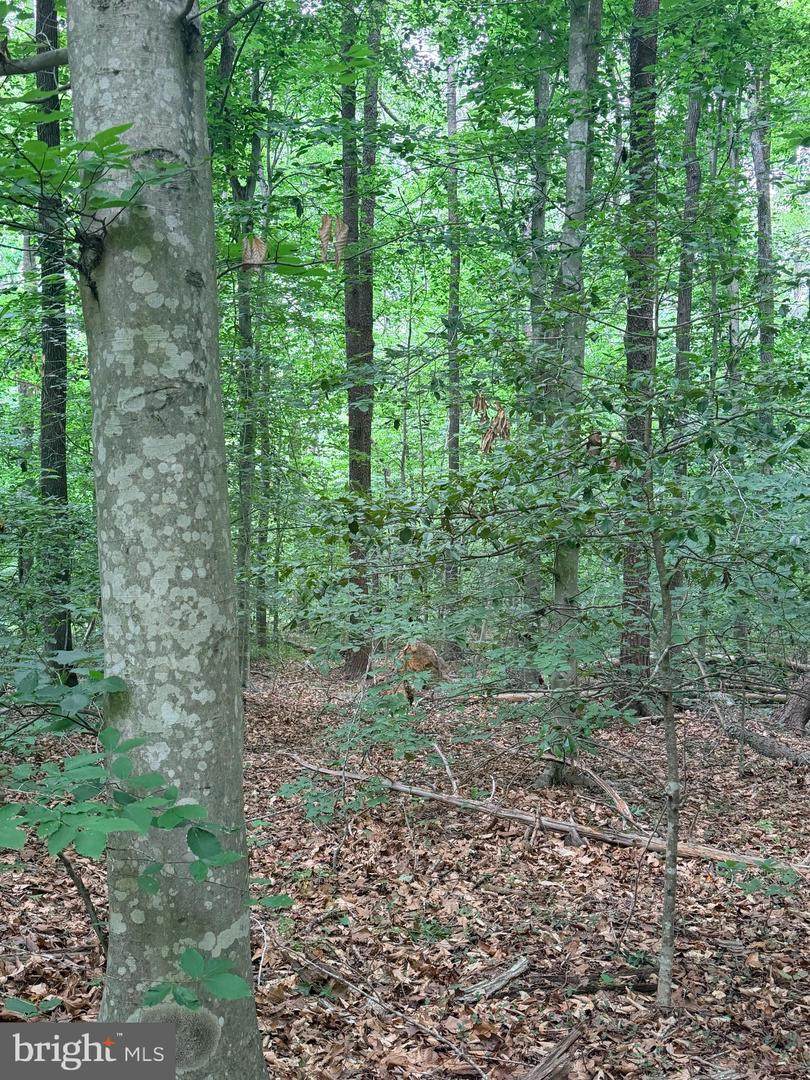 https://bt-photos.global.ssl.fastly.net/brightmls/orig_boomver_1_805046770084-2.jpg
