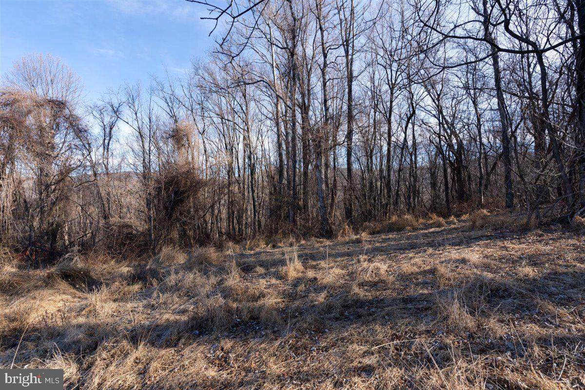 TBD Overlook Mountain Rd - Photo 1