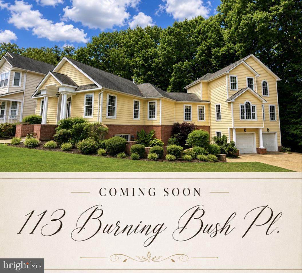 113 Burning Bush Place - Photo 1