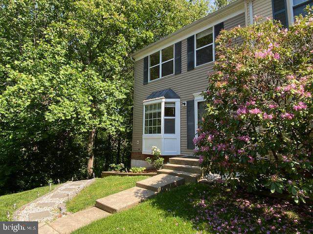 12033 Winding Creek Way - Photo 1