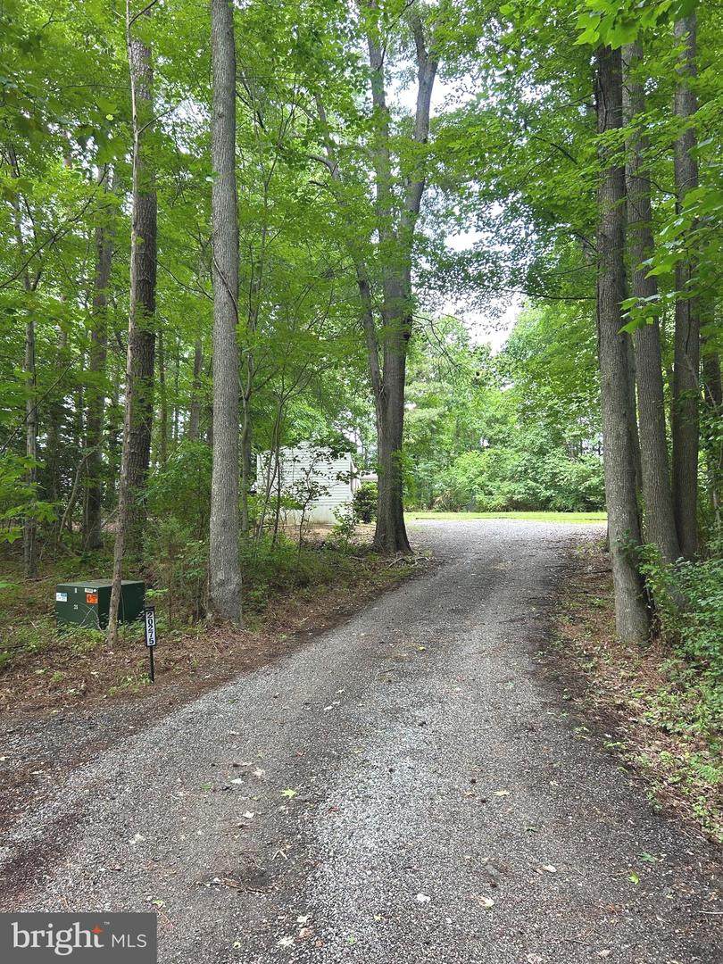 20275 Jackson Road - Photo 1