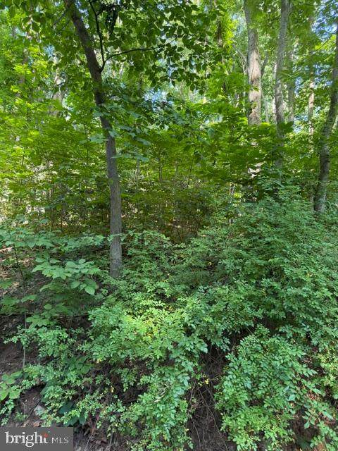 0 Lot 413 Easy Hollow Road - Photo 1