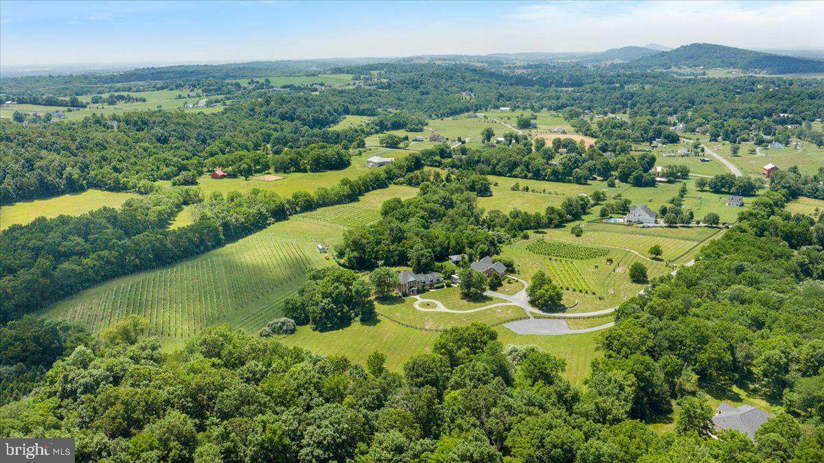 450 Green Spring Road - Photo 1