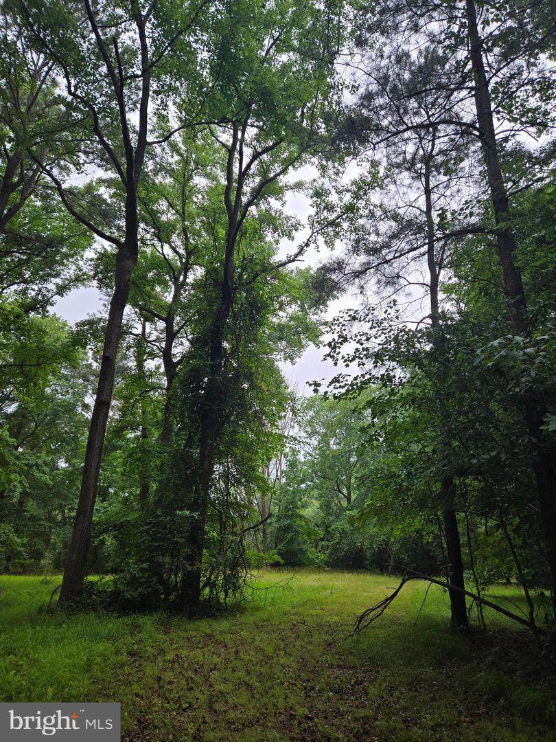  Cooper Road - Photo 1