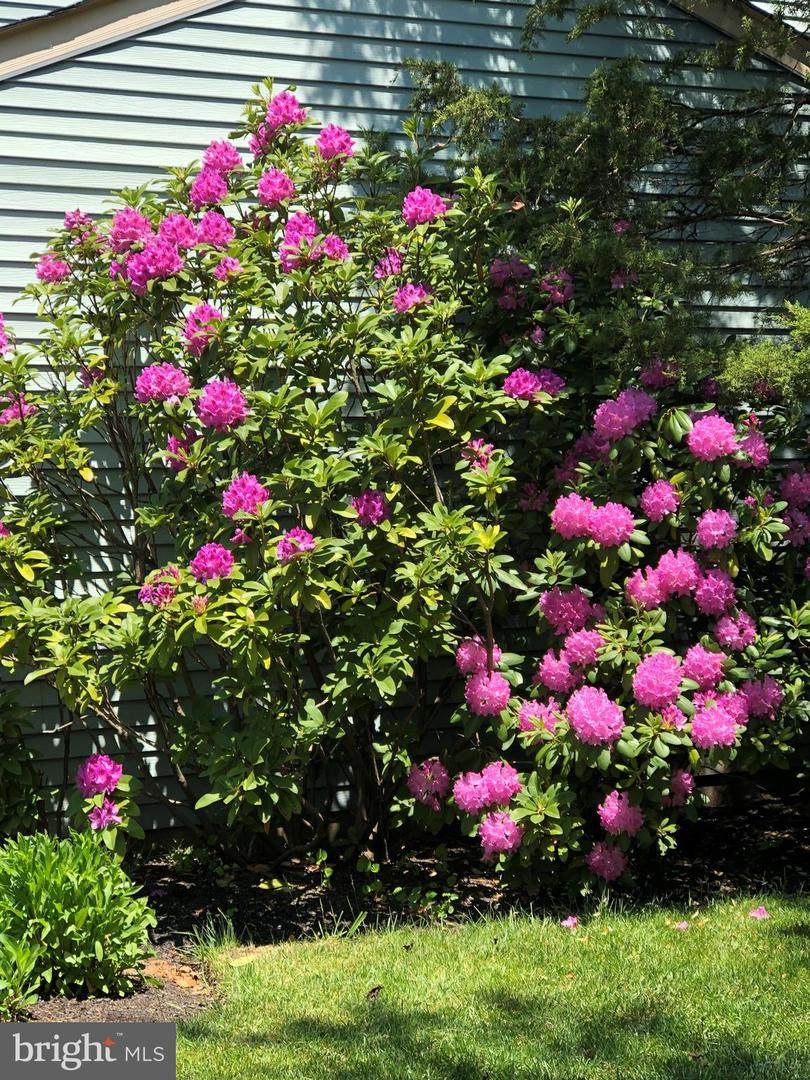 https://bt-photos.global.ssl.fastly.net/brightmls/orig_boomver_1_805086352602-2.jpg