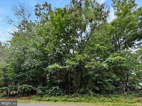 604 Yorktown Boulevard - Photo 1