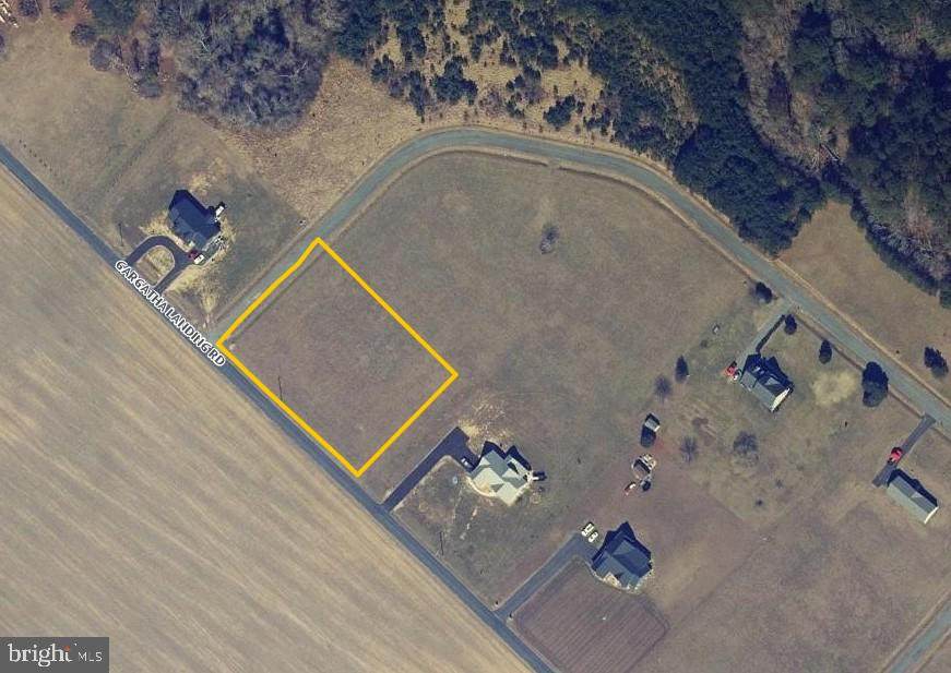 LOT 35 Gargatha Landing Road - Photo 1