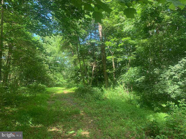 5353 Cito Road - Photo 1