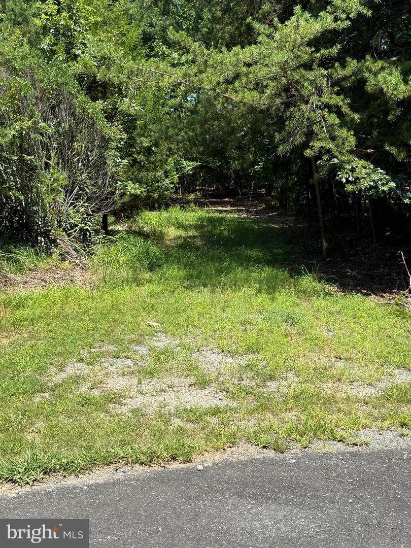 Lot 72 Madeline Lane - Photo 1
