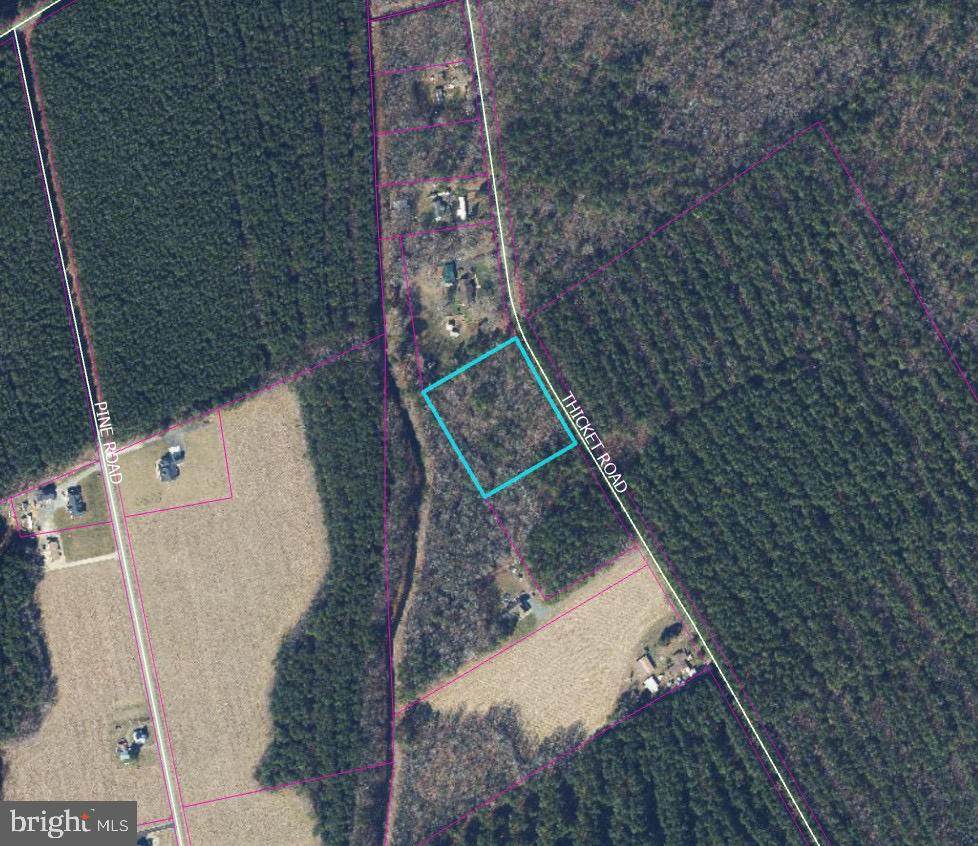 0 Thicket Rd - Photo 1