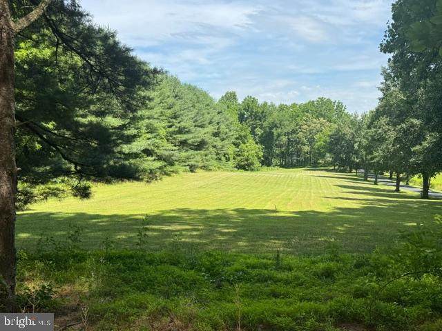 Mccauley Road - Photo 1
