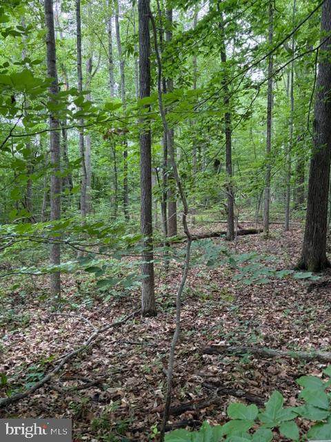 15413 Drummers Lane - Photo 1