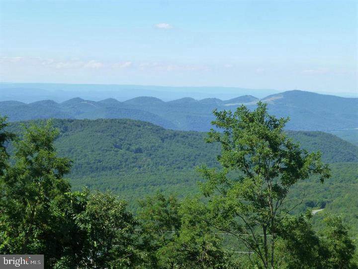 333 Nathaniel Mountain Road - Photo 1