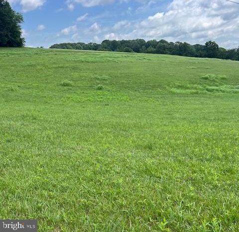 21049 Slab Bridge Road - Photo 1