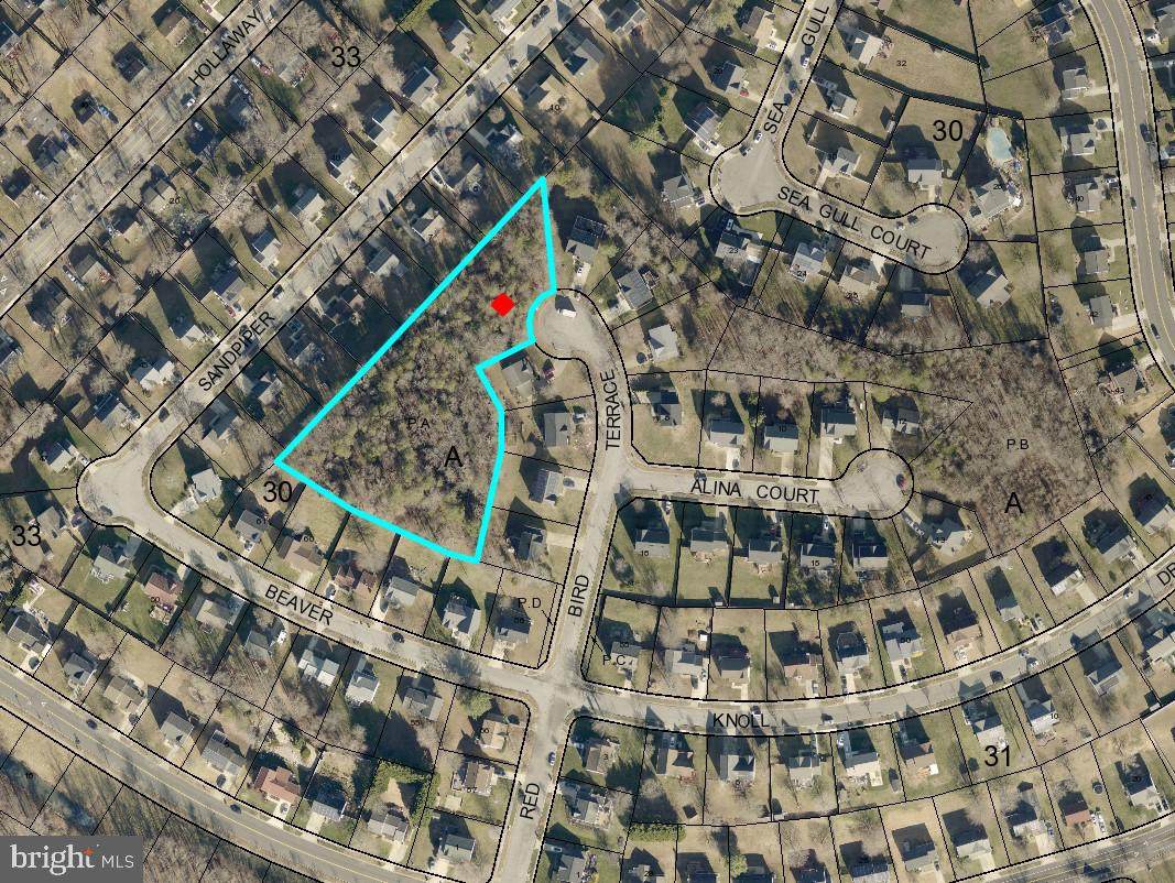 9901 Red Bird Terrace - Photo 1