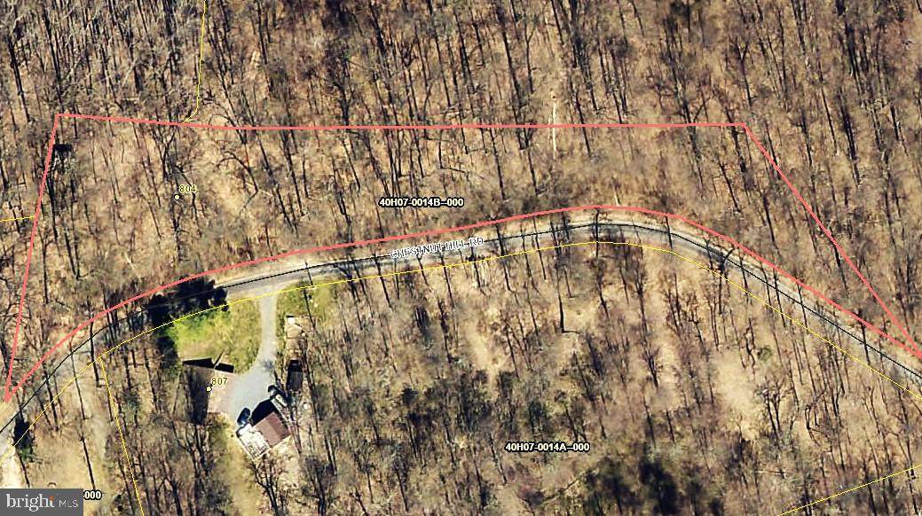 804 Chestnut Hill Road - Photo 1