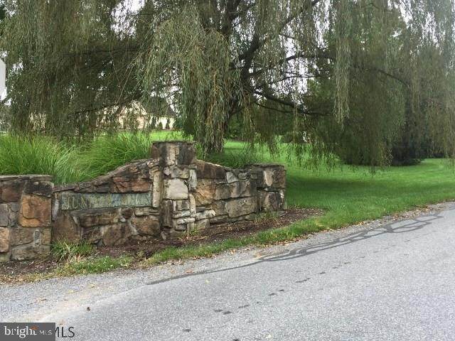 Lot 6 & 7 Juniata Mills - Gristmill Road - Photo 1