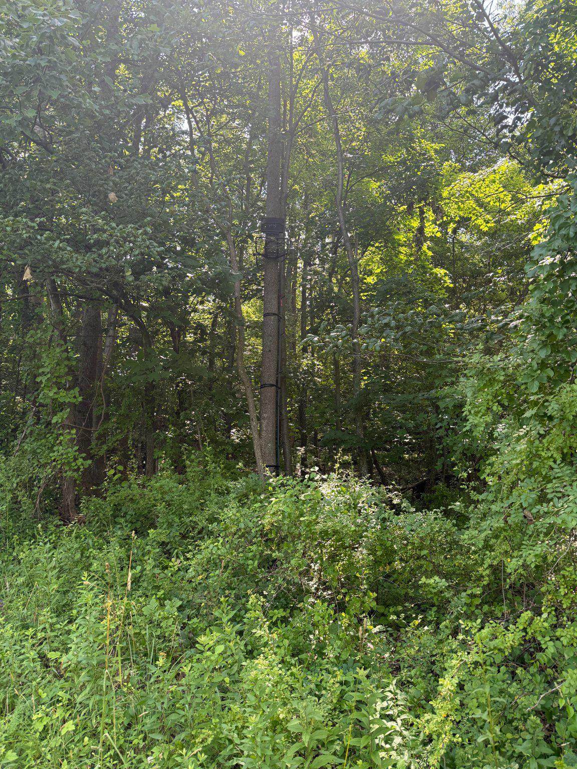 https://bt-photos.global.ssl.fastly.net/brightmls/orig_boomver_2_805106408552-2.jpg