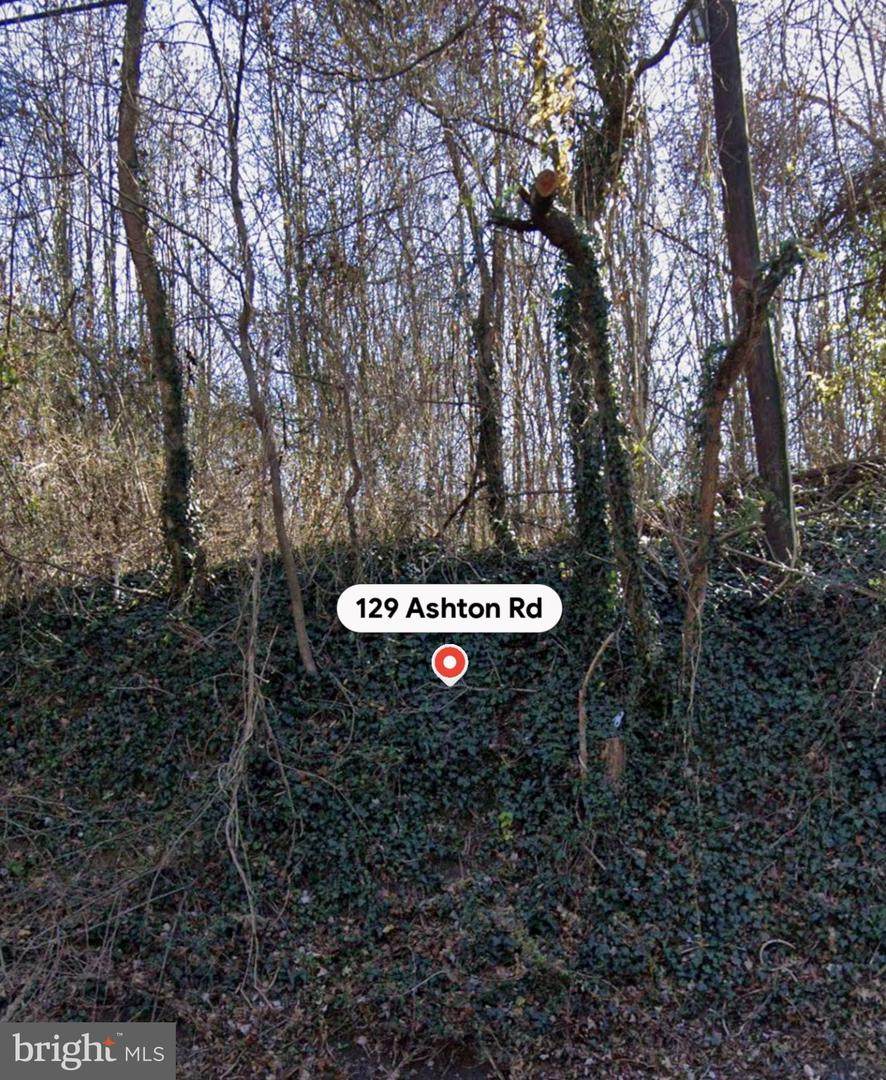 129 Ashton Road - Photo 1