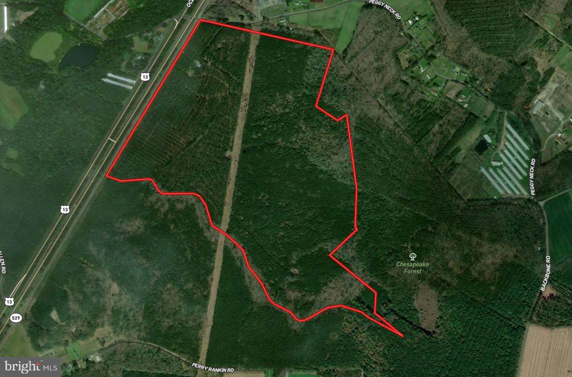0 Peggy Neck Road - Photo 1