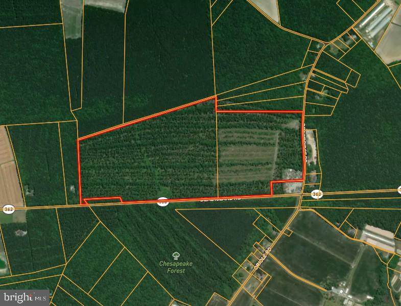 0 Deal Island Road - Photo 1