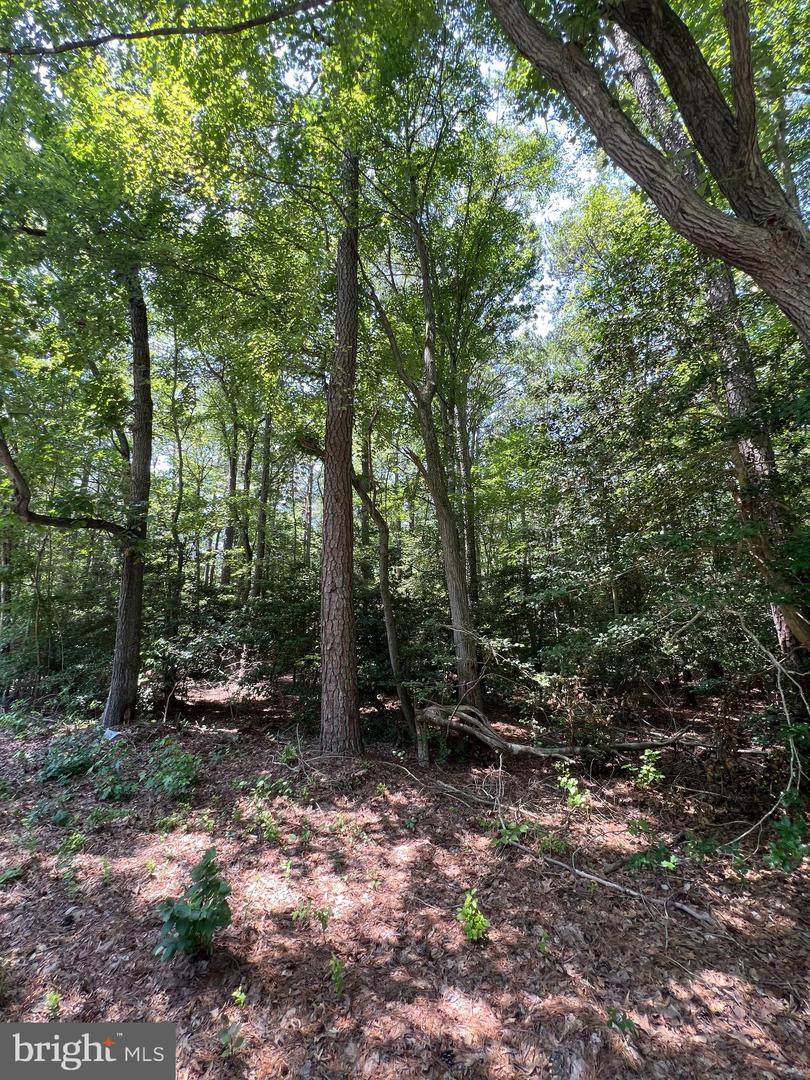 107 Vega Way - Photo 1