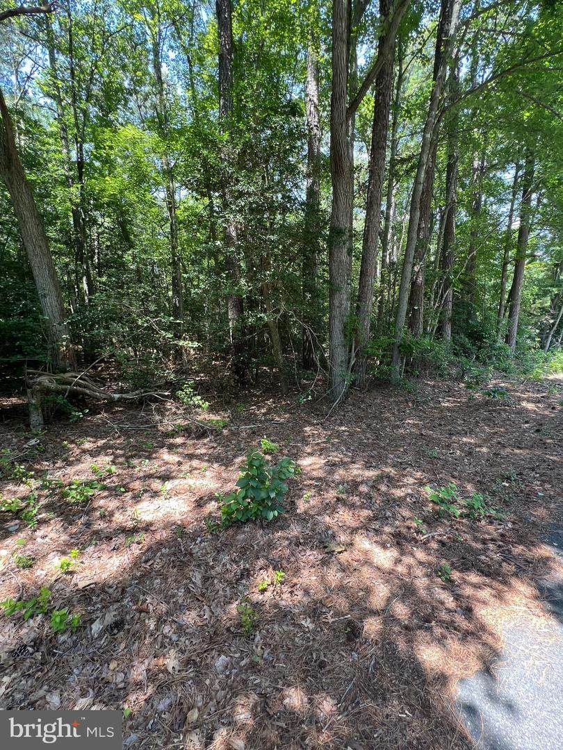 109 Vega Way - Photo 1