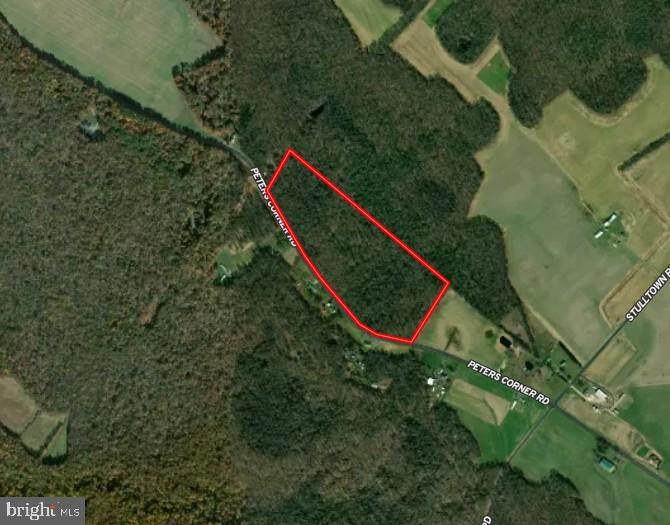  Peters Corner Road - Photo 1