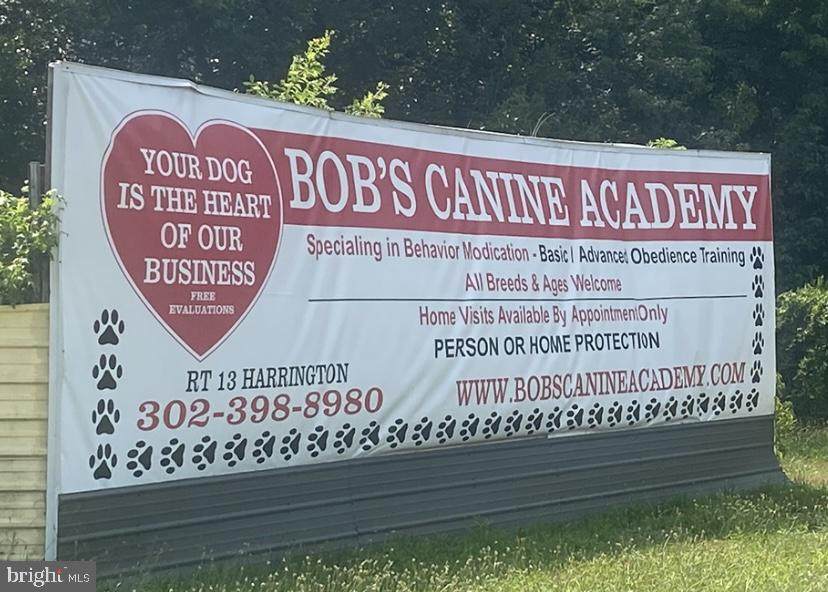 Bob's Canine Academy - Photo 1