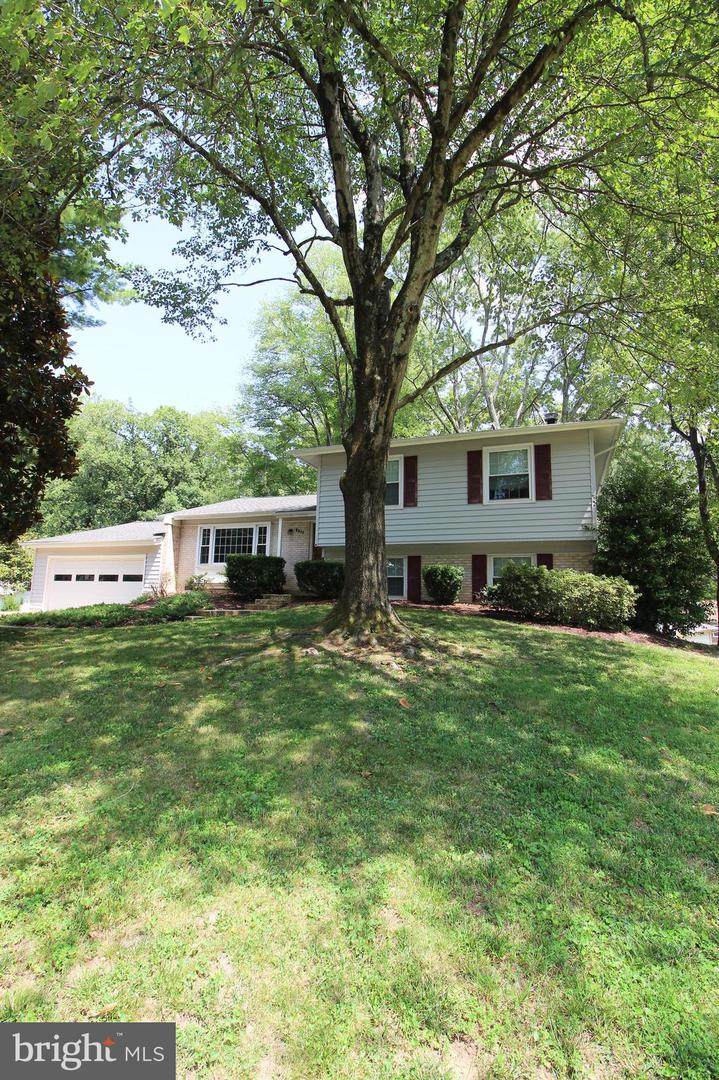 6211 Duntley Court - Photo 1
