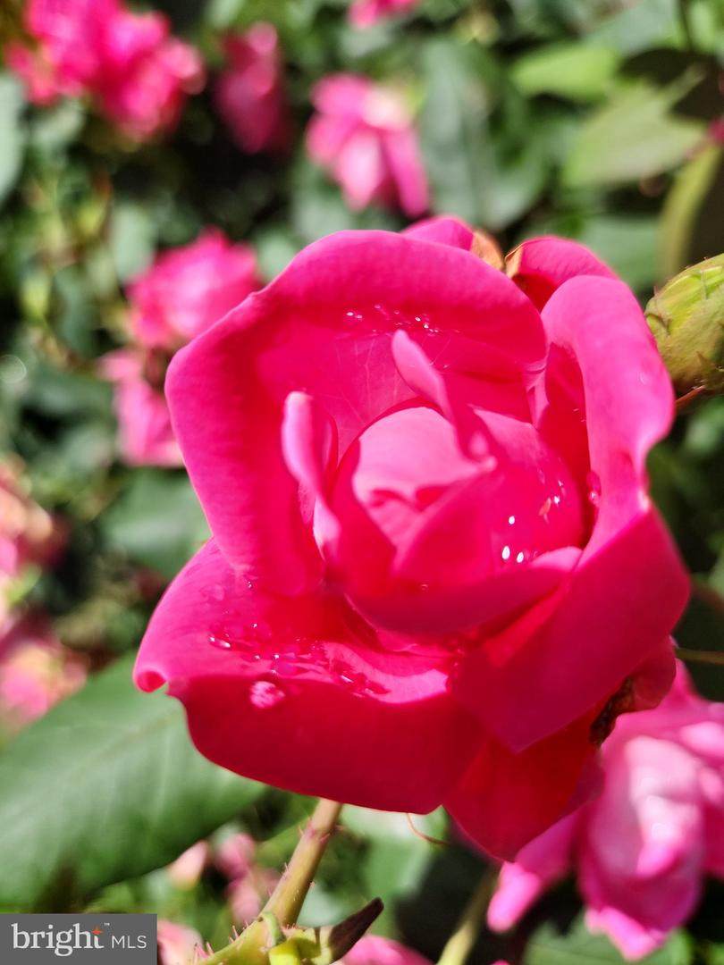 https://bt-photos.global.ssl.fastly.net/brightmls/1280_boomver_1_805123019620-2.jpg