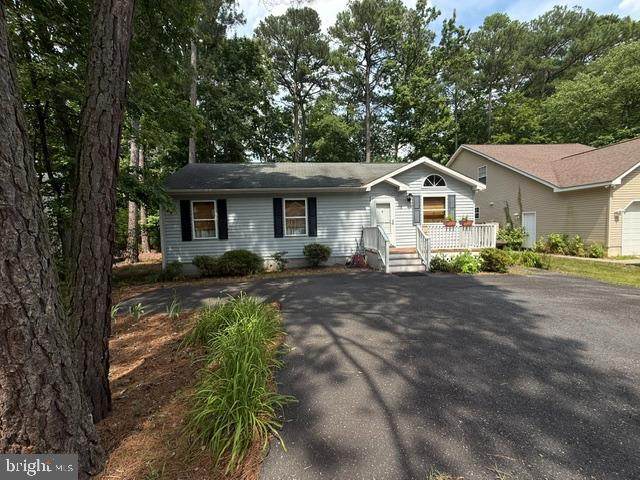 115 High Sheriff Trail - Photo 1