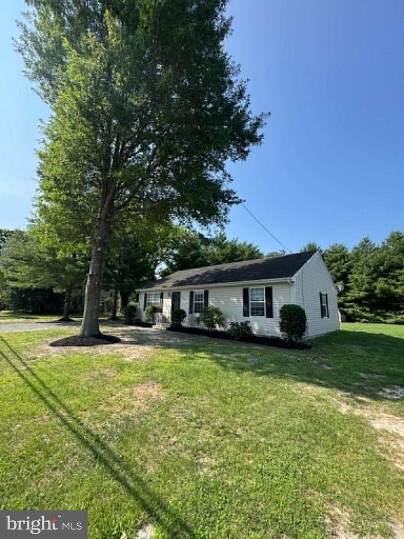 104 Chestnut Street - Photo 1