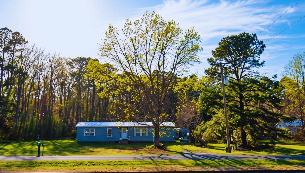 10403 Doe - Photo 1