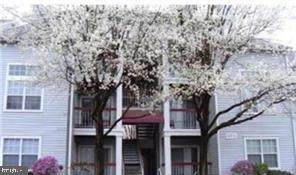 18535 Boysenberry Drive - Photo 1