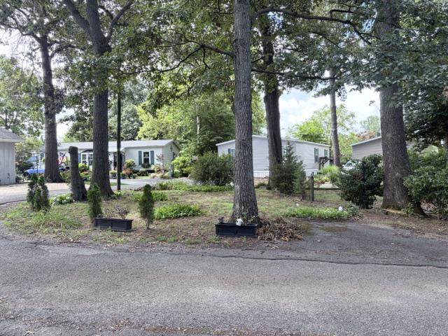 35698 Magnolia Road - Photo 1