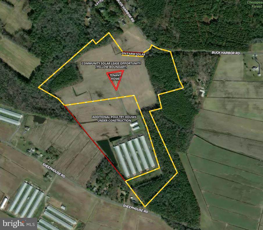 1725 Buck Harbor Road - Photo 1