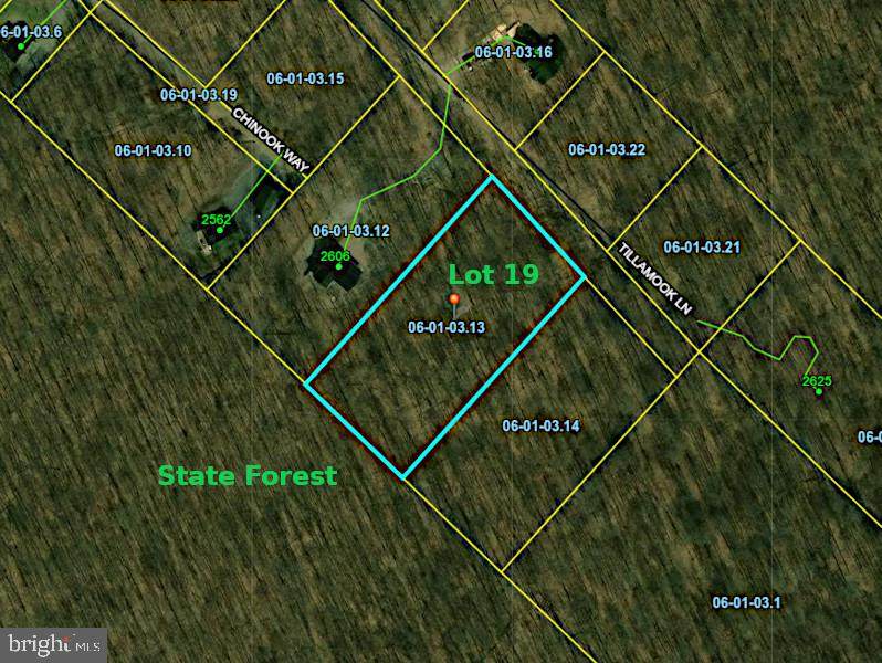 Lot 19 Tillamook Lane - Photo 1