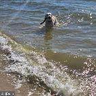 2010 River Road - Photo 60