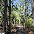 2010 River Road - Photo 65