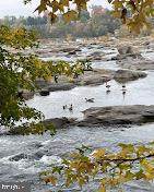 2010 River Road - Photo 69