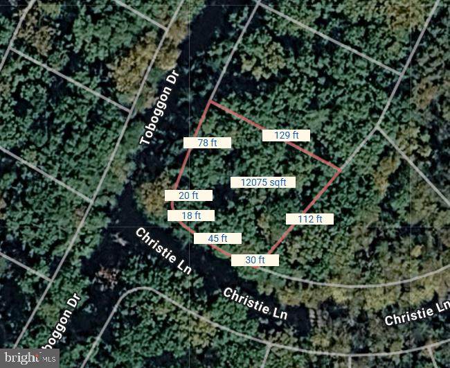LOT 228 Toboggan Drive - Photo 1