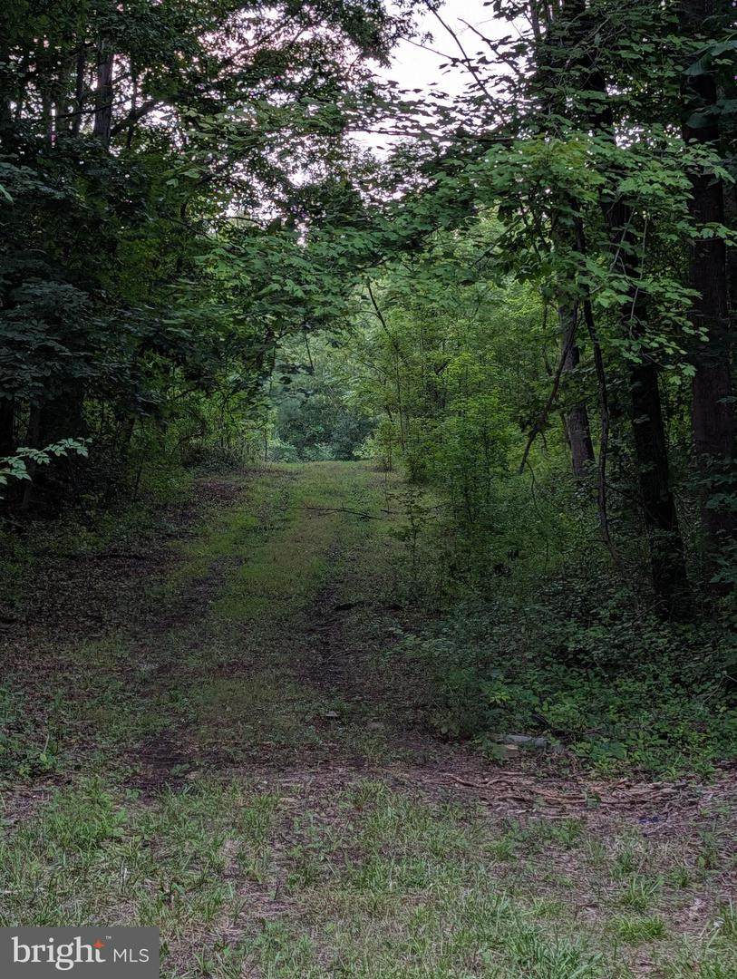  Central Avenue - Photo 1