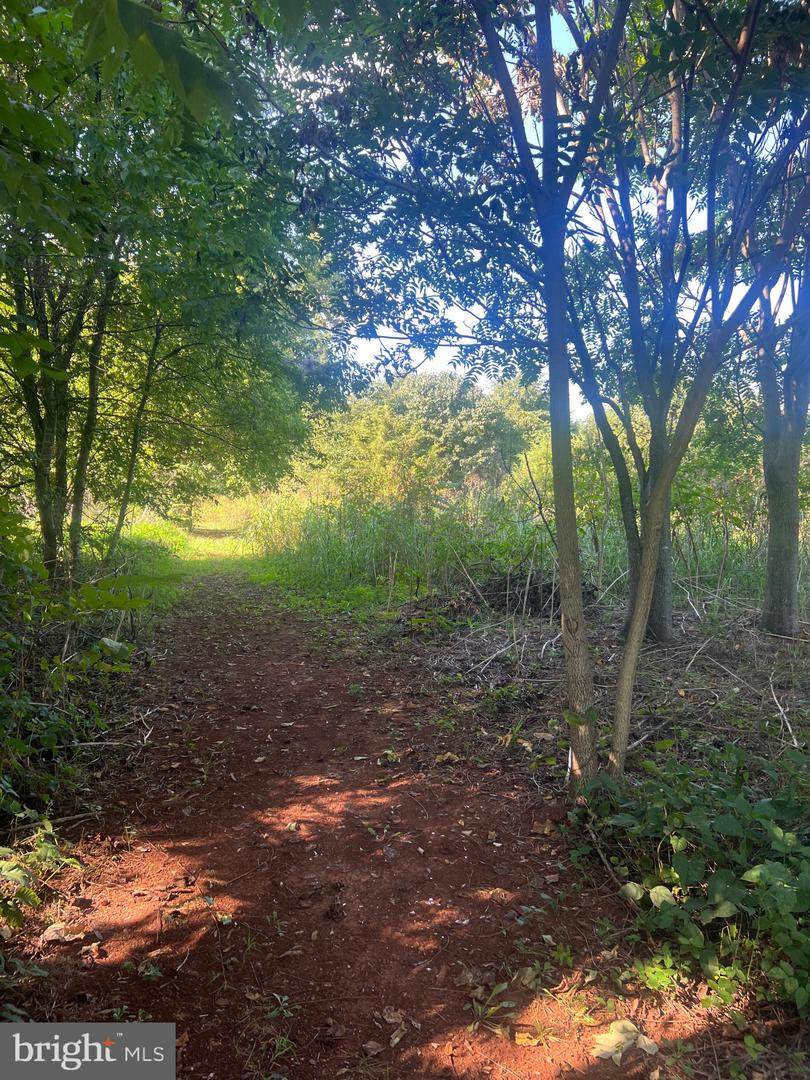  James Madison Highway - Photo 1