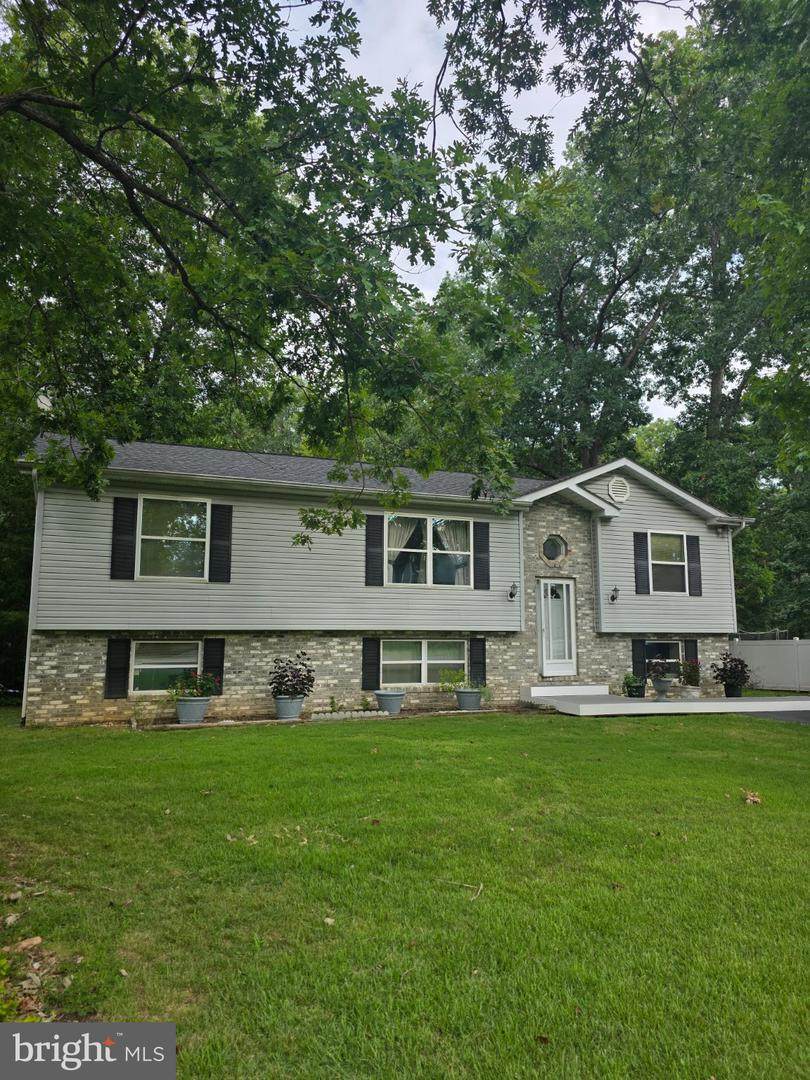 12120 Long Wolf Lane - Photo 1