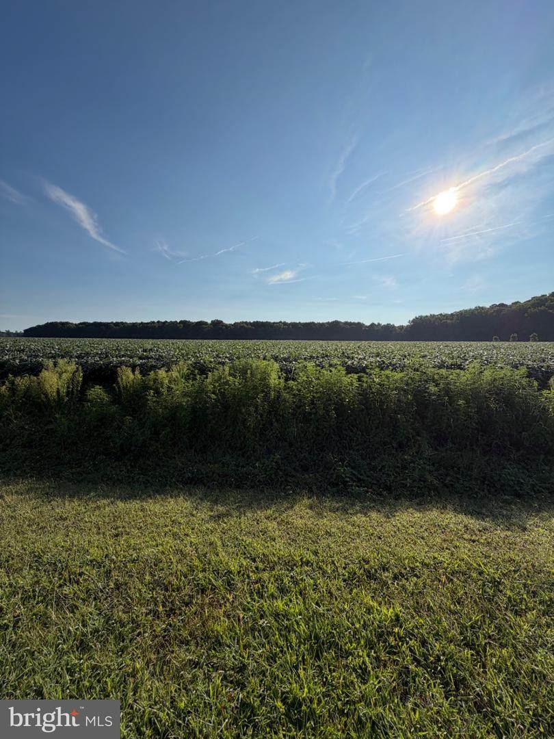 12543 Mallard Lane - Photo 1