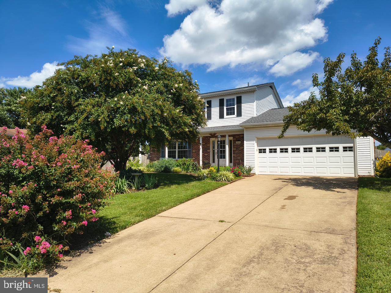 10028 Elderberry Court - Photo 1